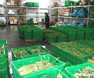 塑料周轉筐能用多少年？